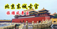 91肏逼中国北京-东城古宫旅游风景区